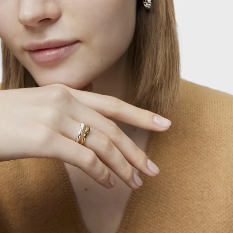 Ce set de deux bagues bicolores en acier inoxydable joue sur l’illusion parfaite d’un anneau entrelacé. L’une dorée, l’autre argentée, elles se calent l’une contre l’autre pour former un motif de feuille stylisée, symbole de renouveau et d’harmonie.