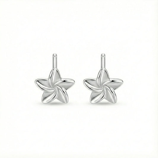 Boucles d’oreilles clous en argent 925 en forme d’étoile, bijou discret au design minimaliste et finition brillante