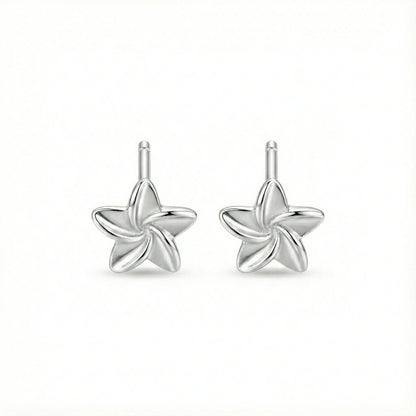 Boucles d’oreilles clous en argent 925 en forme d’étoile, bijou discret au design minimaliste et finition brillante