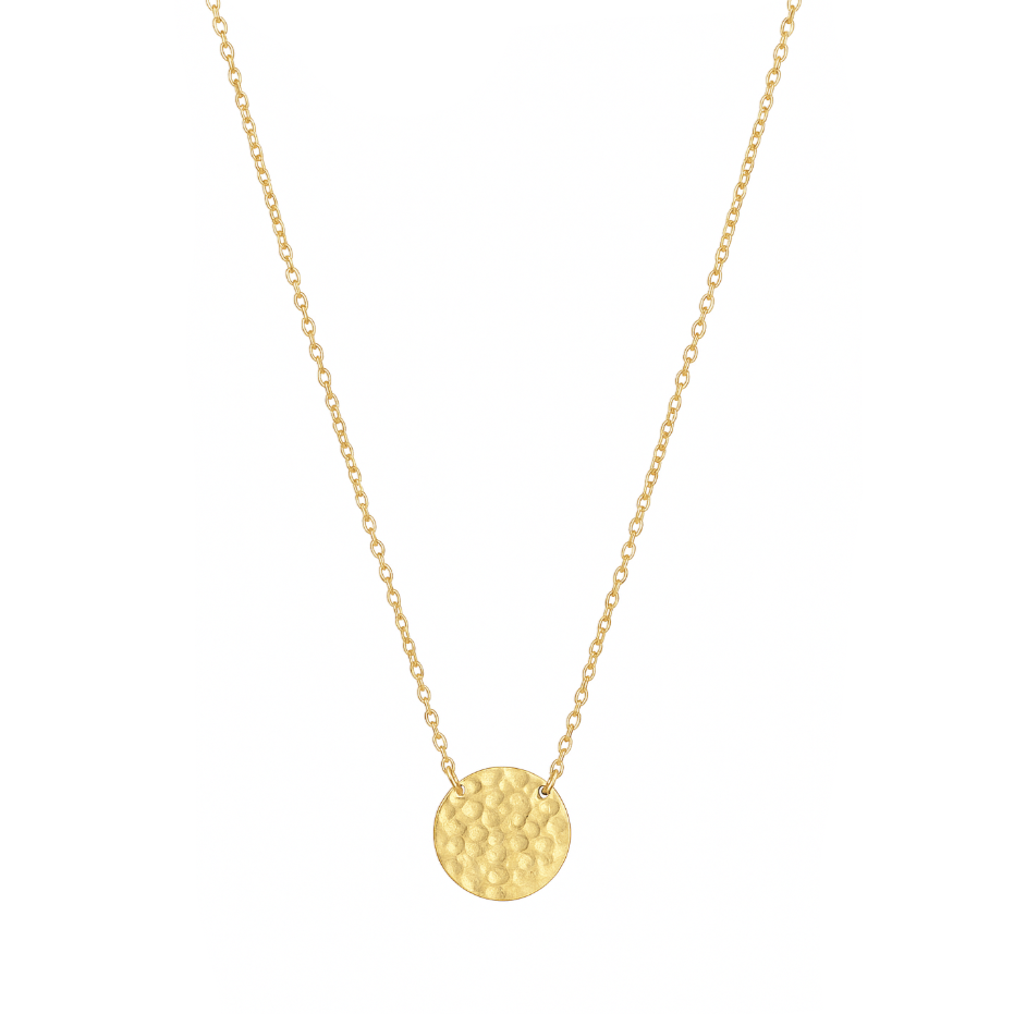 Pur et intemporel, ce collier médaille martelée en acier inoxydable doré séduit par sa simplicité texturée. Une pièce discrète mais pleine de caractère, à l’allure artisanale et raffinée.

Matériau : Acier inoxydable doré, hypoallergénique, résistant à l’eau et à l’oxydation.